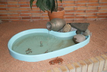 Suihkulähteen korjaus 2011